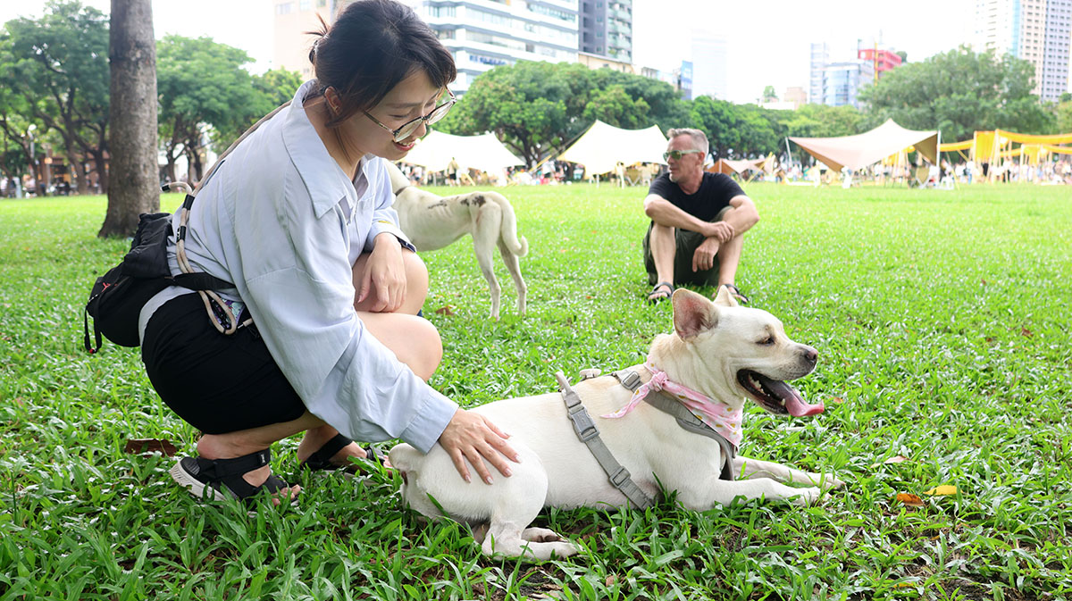 毛孩和飼主都能享受一個愉快的週末。