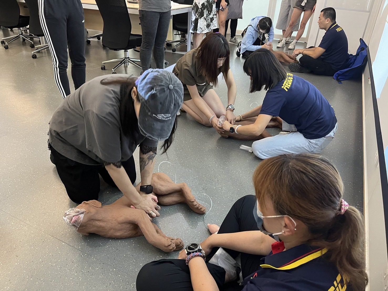 CPR 心臟按摩急救術。