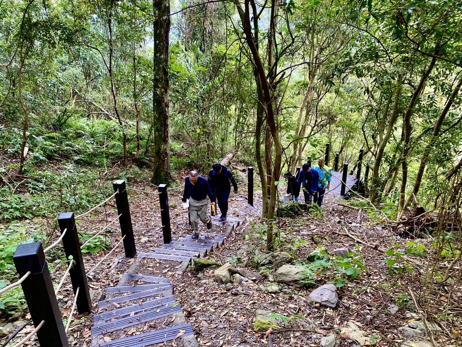 步道分級安心遊 中市府打造優質登山健行環境 1 原木階梯 0