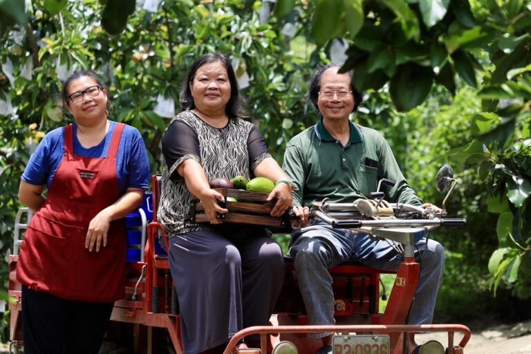台南晶英與位於酪梨之鄉-大內區的〈左岸幸福莊園〉合作，正值秋季碩果採收時節推出「幸福降酪」住房專案