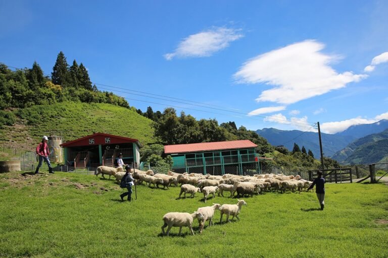 南投縣仁愛鄉清境農場以其廣闊的高山草原與優美的自然風光，每年吸引大量遊客前來觀光。