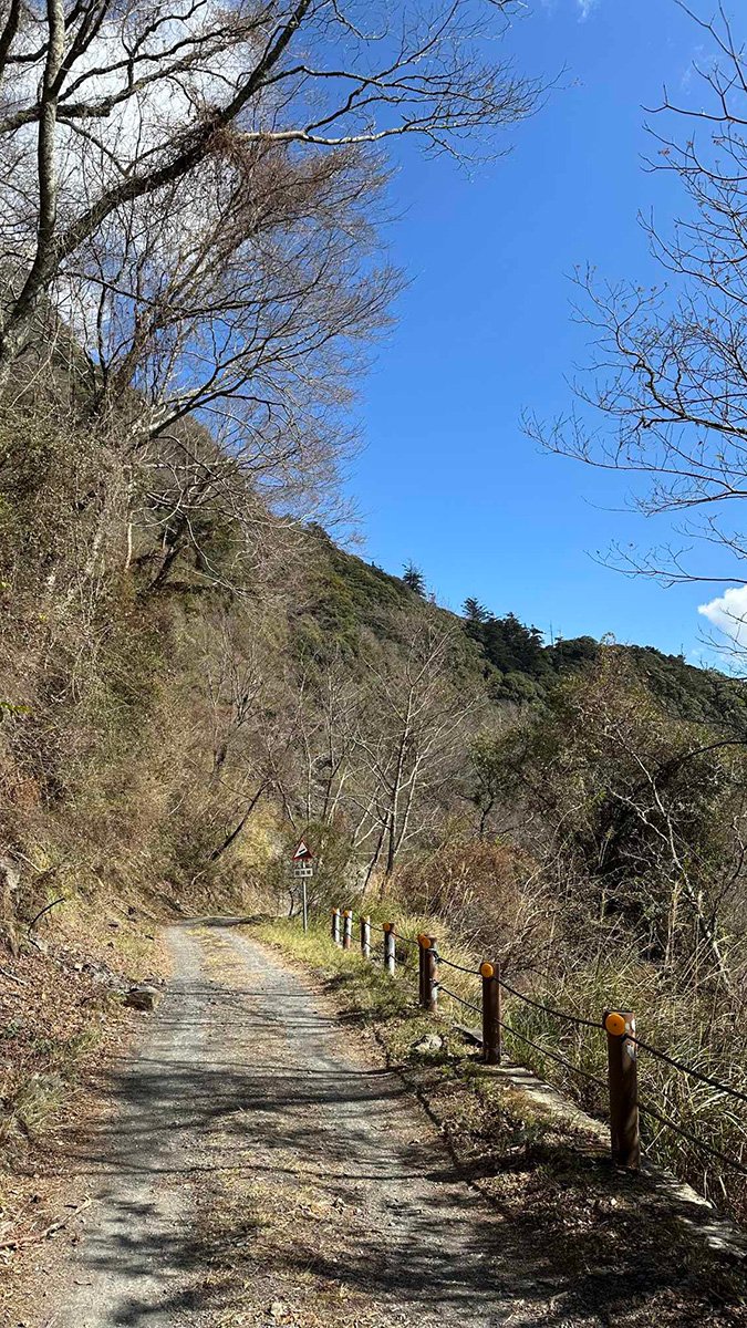 適逢春節假期，不少遊客計畫登山健行、踏青迎新年，林務局呼籲，進入山區時務必保持警覺