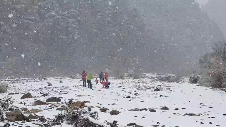 今年首波寒流為武陵農場帶來如夢似幻的雪景，吸引大量遊客前來感受冬日浪漫奇觀。