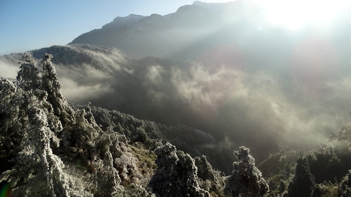 在高山上，氣溫變化劇烈，日夜溫差極大，夜間氣溫甚至可能降至0度以下。