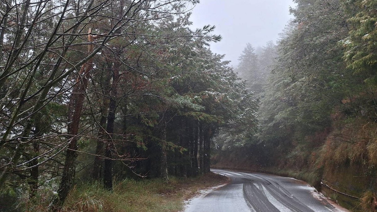 現在的大雪山正展現著獨特的初春美景