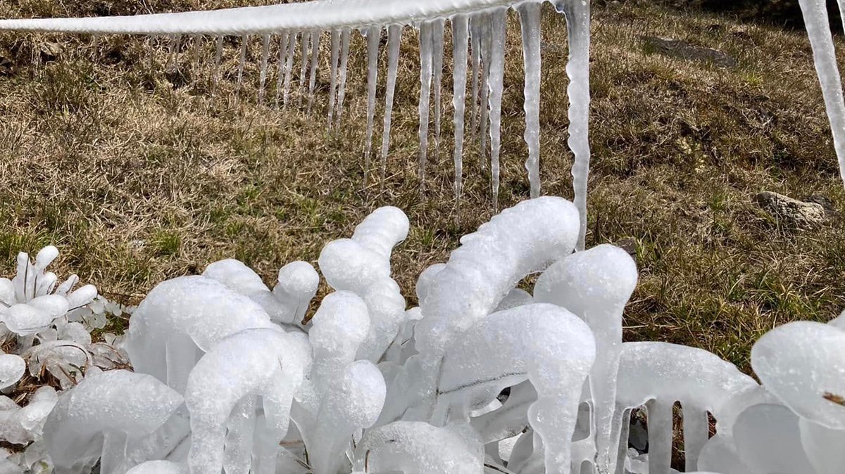 當水氣充足且氣溫降至零度以下時，便有機會降下浪漫的白雪。