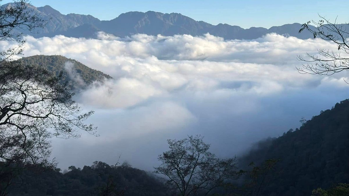 現在的大雪山正展現著獨特的初春美景