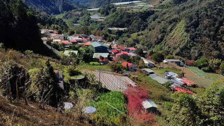 479883142 960423606275237 2298821613513115856 n東埔一鄰屬玉山國家公園範圍 登高望遠