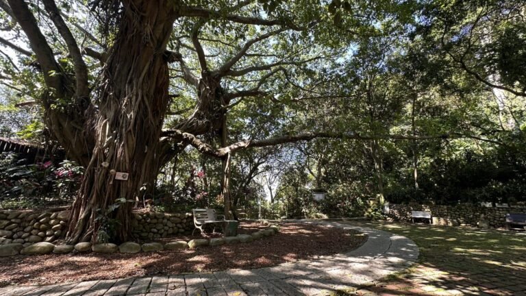 新北邀您山林靜心 百年榕園梵唱音樂會6/14圓通寺療癒登場 1 351950 501192906648899140662913485196477770307290933955126 14604132192186