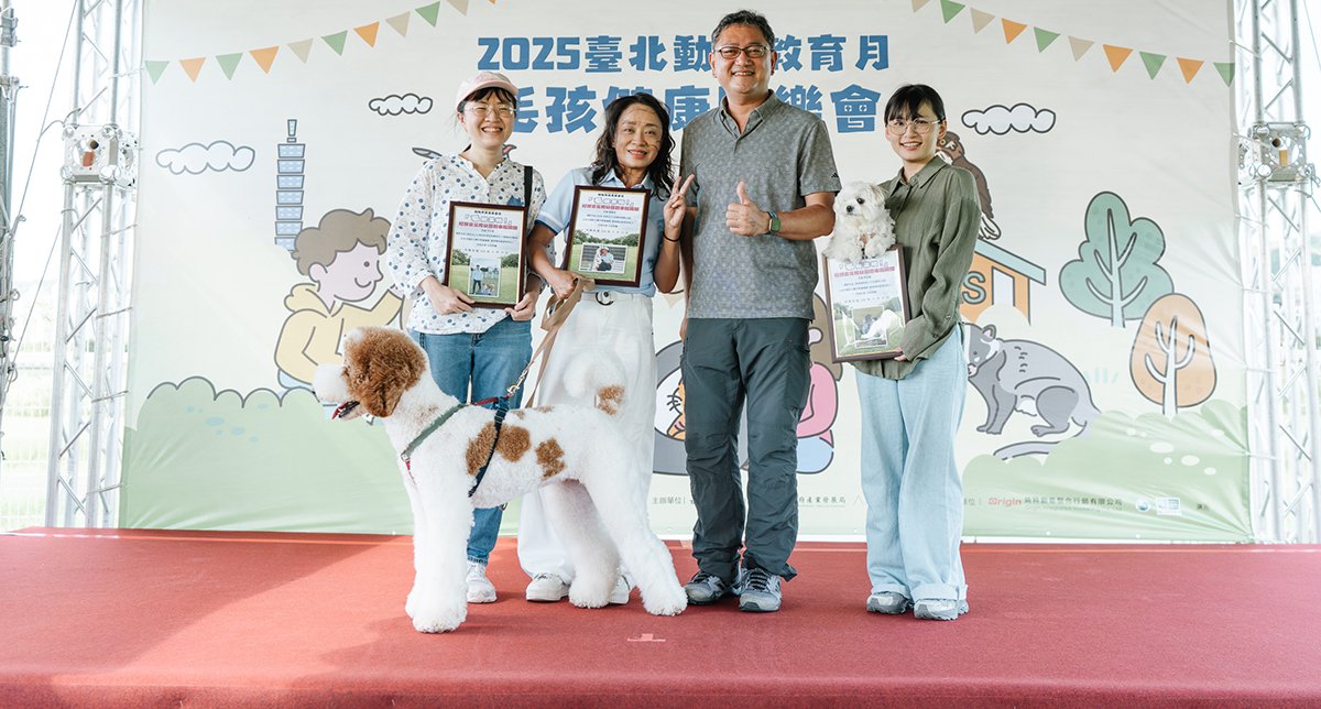 tu4maoqilaipaisheyingzhenggaobanjiang