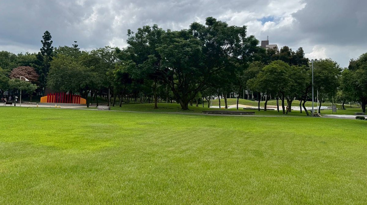 2025台中市民野餐日29區登場 盧秀燕邀市民共度書香秋日午後 4 2025shiminyecanribeiquchangshijing20