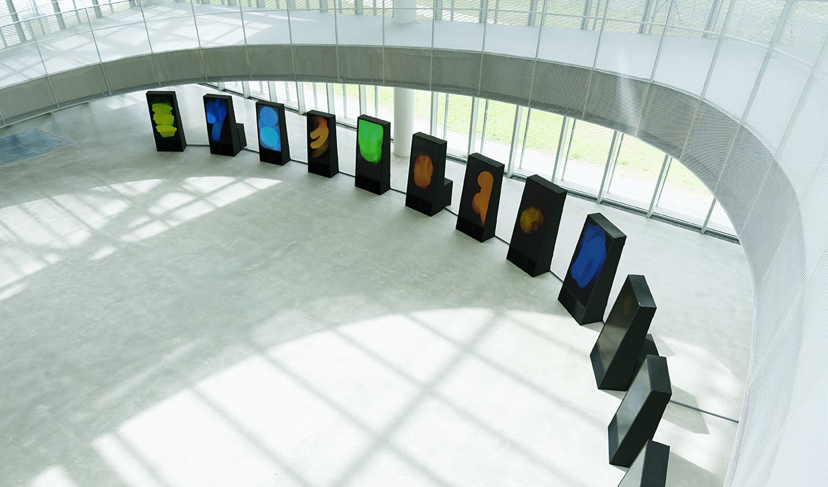 全臺首座美術館與圖書館共構 「臺中綠美圖」啟動試營運 展現藝術閱讀共生願景 6