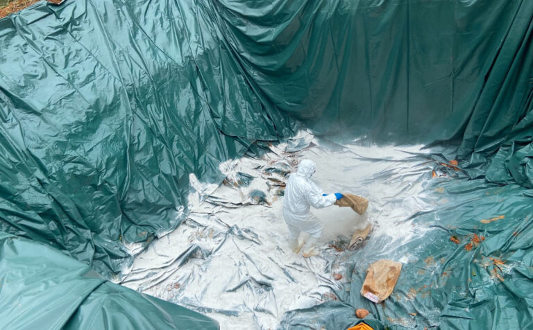 taizhongshizhengfulianyejinjidongyuanxiangguanrenl