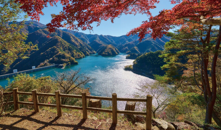 tu7aoduomodeqiurimeijingtcvb