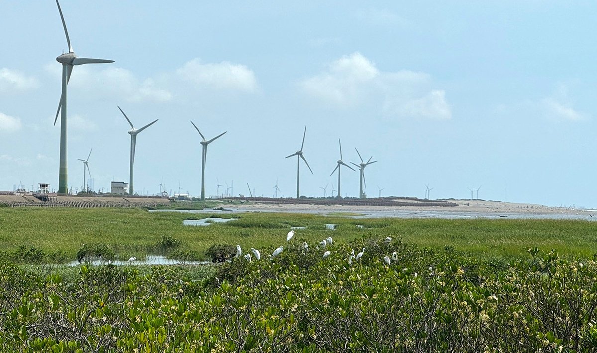 2025台中市民野餐日29區登場 盧秀燕邀市民共度書香秋日午後 2 zhaopian03daanguikeshengtaigongyuanyecanrihuodongd
