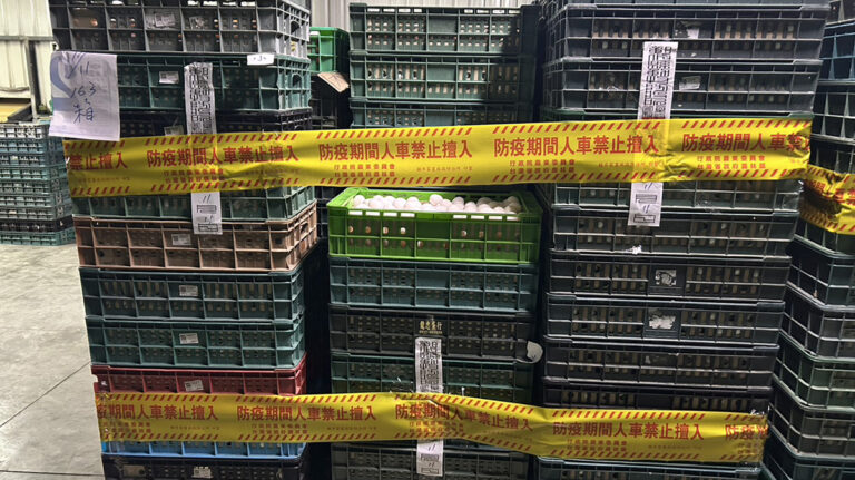 112025111208355374401fengcunjidan