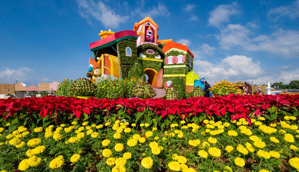 江啟臣會勘新社花海 花毯節11月8日登場 盧秀燕:拚經濟、拚觀光、拚好生活一刻不能停 3 561826161 1261612185985728 4739937334415577582 n