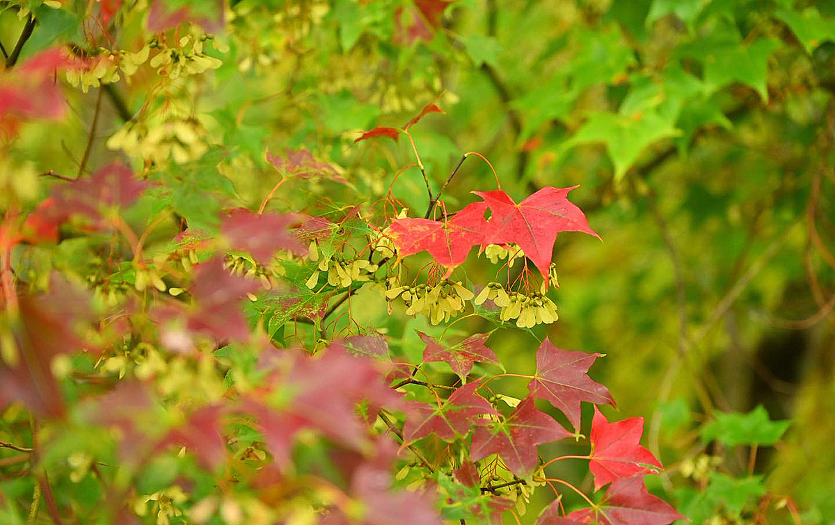 571019254 1241468561349965 4311981934635810154 n