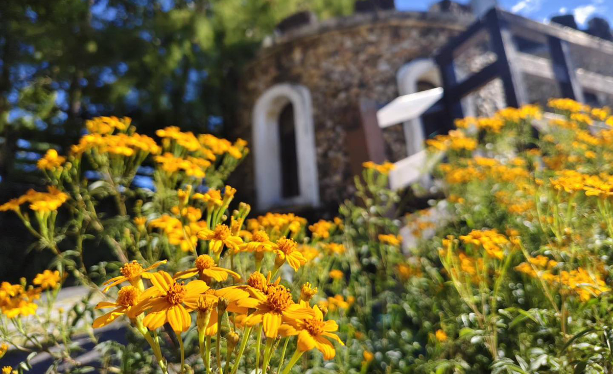 571249776 1266222178874055 2026329200420483345 n