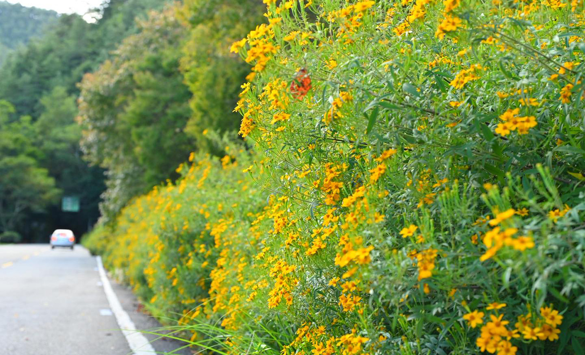 572804218 1246333464196808 8375802257365073215 n