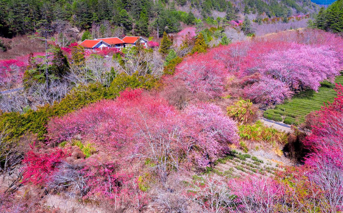 573100519 1245300544300100 1529078163938055722 n