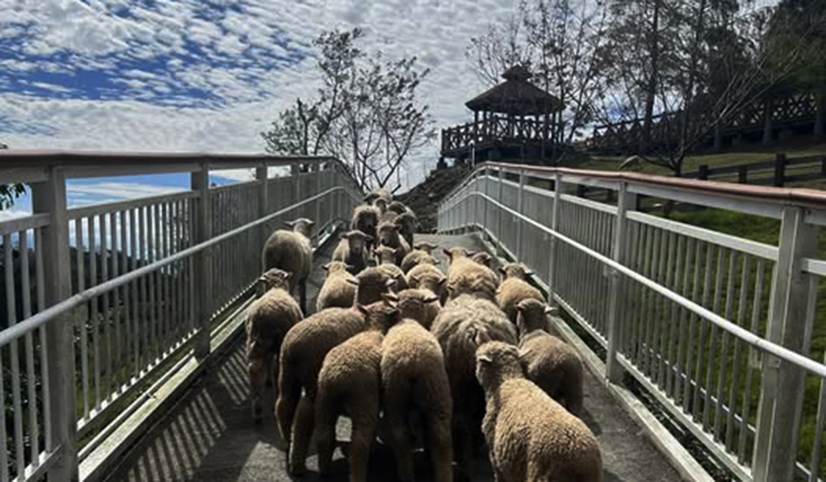 573958089 1270322495130690 7981504897550142101 n