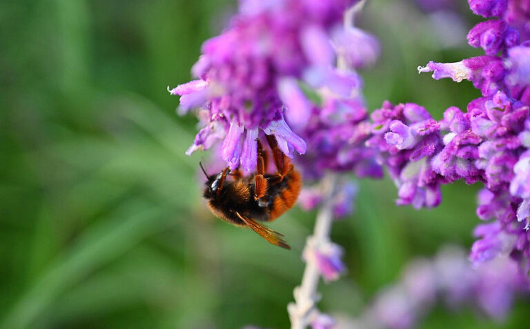 574103185 1244040481092773 3778666251652946458 n