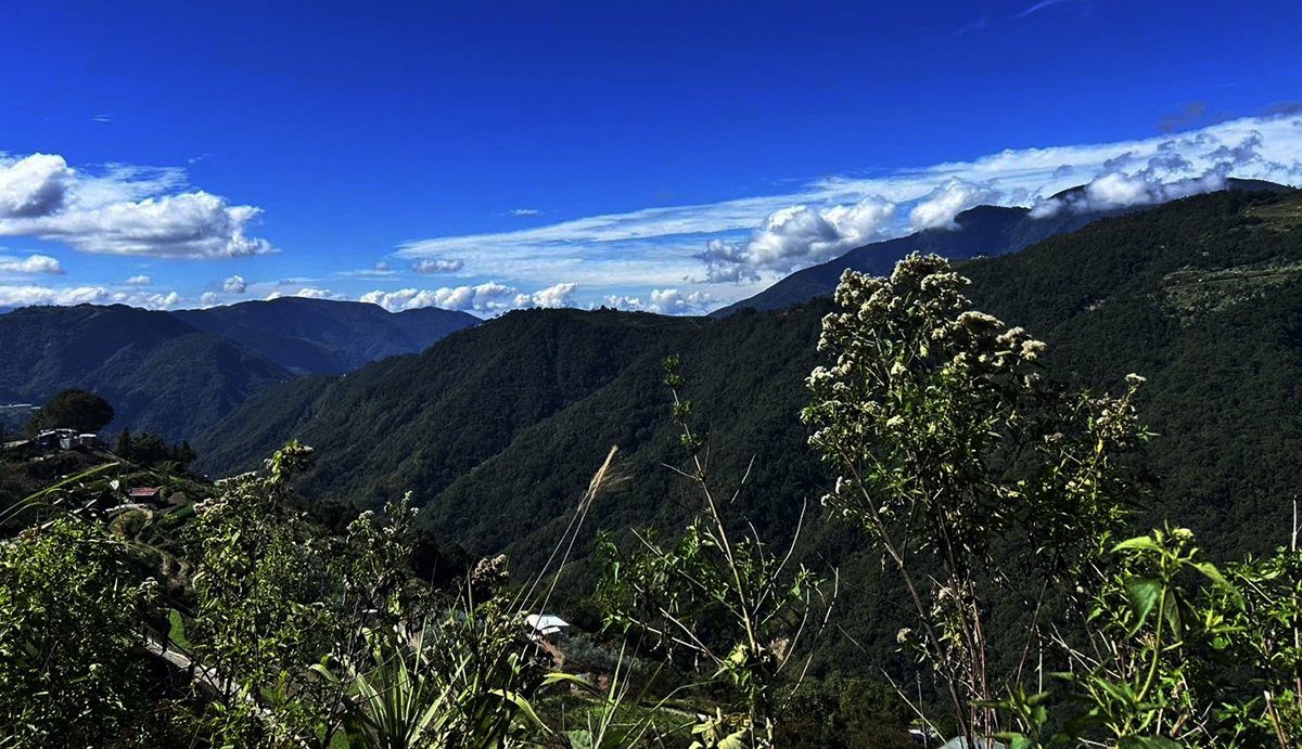 574917537 1270276015135338 5516333177055946616 n 1