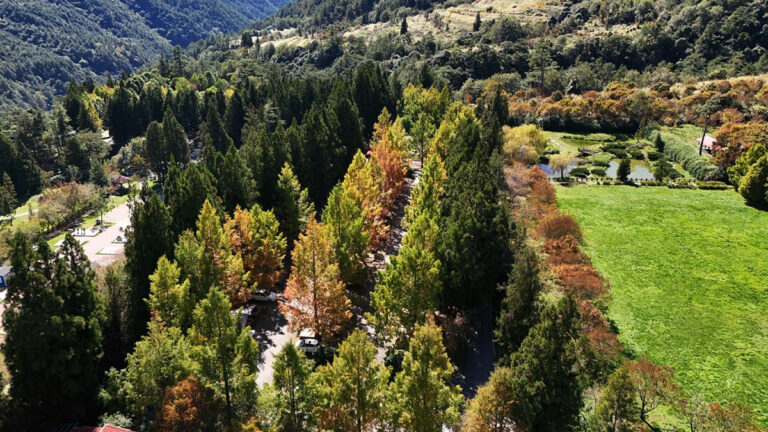 582460221 1259272406236247 8884783669027183923 n