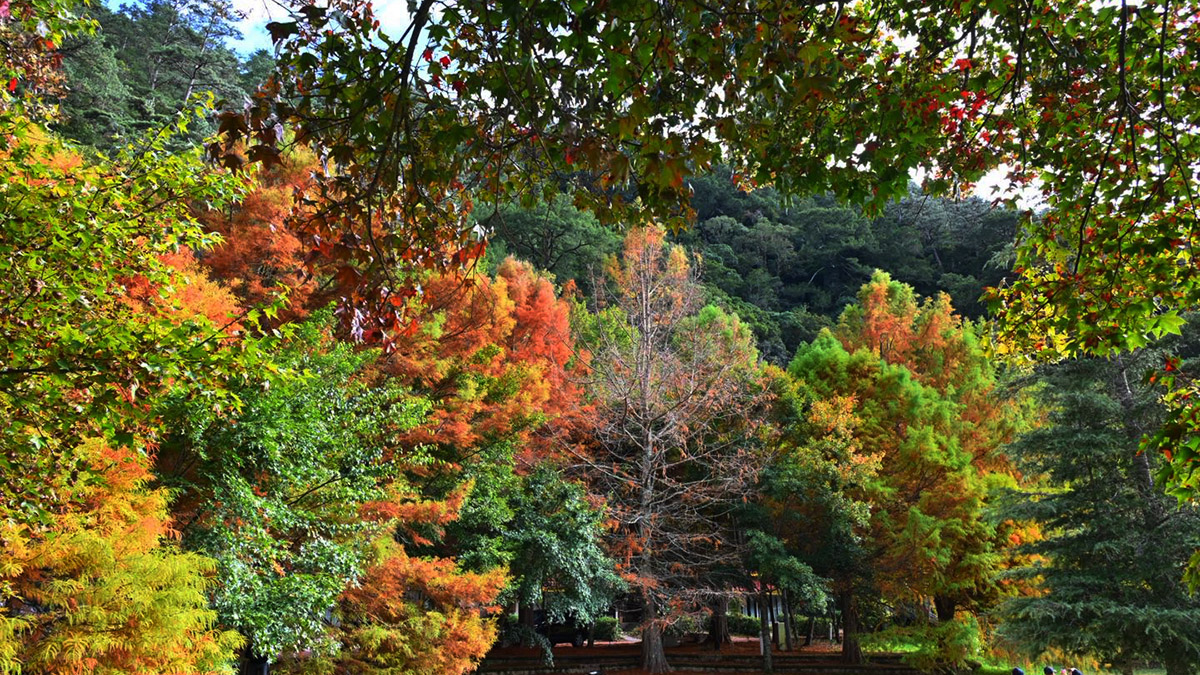 582477185 1260520172778137 893425854727528172 n