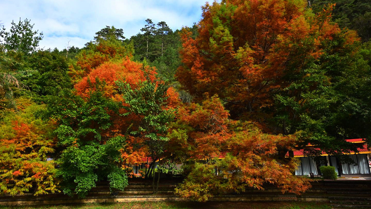 585283132 1260520156111472 5276438218108971099 n