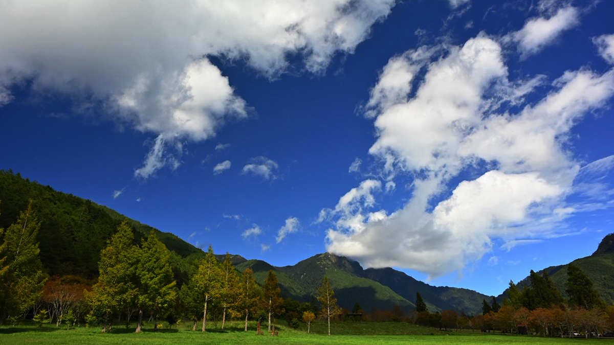 585892143 1261281519368669 8012520135294014719 n