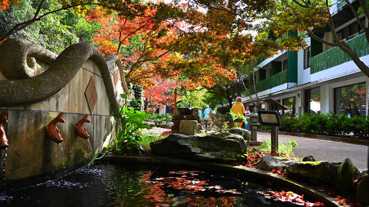 586534986 1259993796164108 7640924508122516846 n