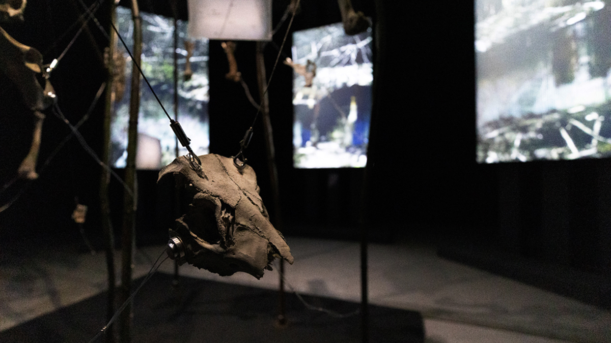 caiyutinglishuishanzailinzuopinjubu