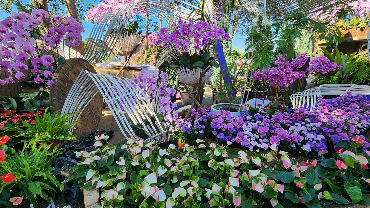 line oa chat 251120 194309