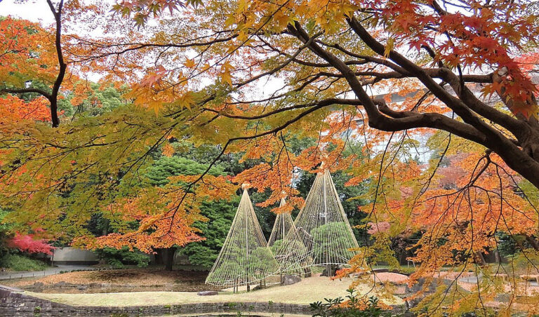 tu1xiaoshichuanhouleyuandeyuanlinyijingfangfubeiya