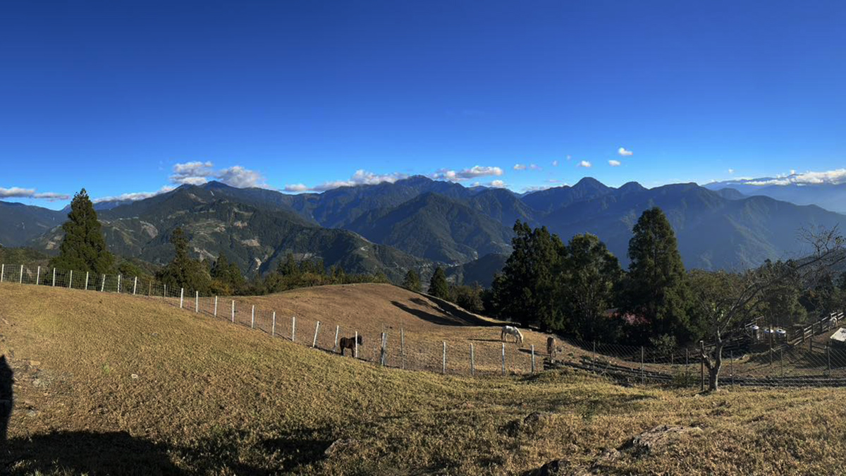 592099769 1292339926262280 6857772555072317966 n