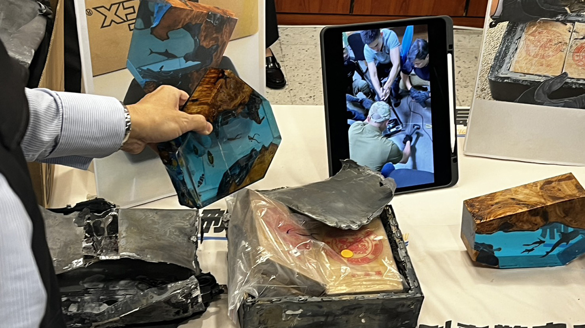 592332332 1264524595705120 6227094996966178764 n