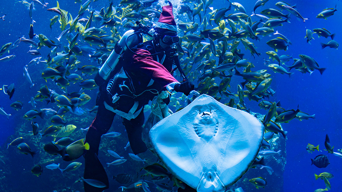 年底玩爆台中!Hi8全城開趴接力登場 演唱會、耶誕、燈會一路嗨到過年 5 taizhonghaiyangguanshengdanlaorenhudongweishi