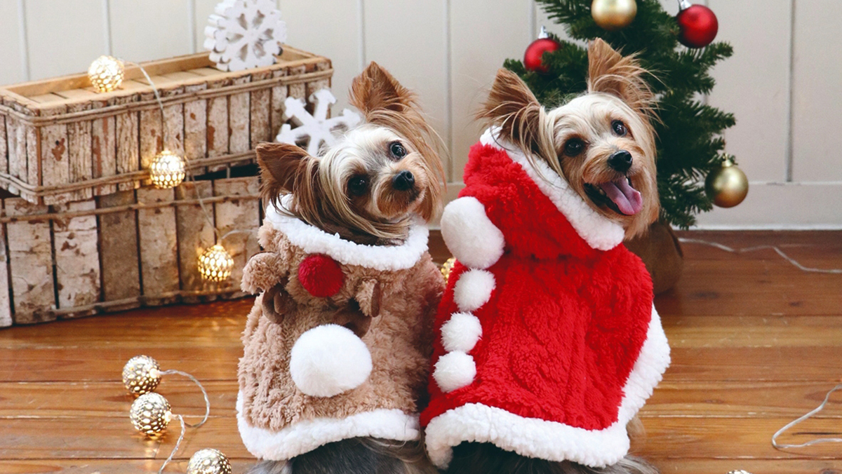 tu5yuandonggardencitydajudandianyeweimaohaimenguih