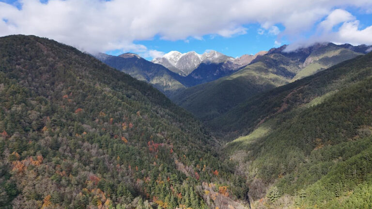 602455710 1290264903136997 7163885412804463513 n