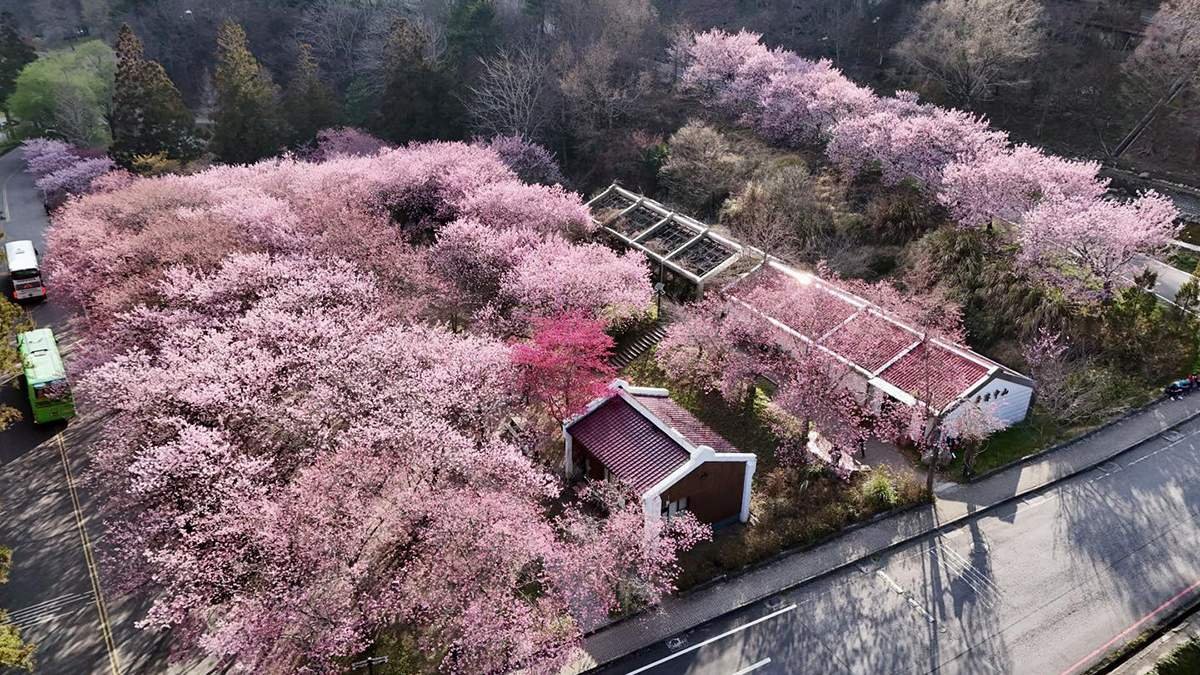 608853476 1296213525875468 2774157674979100534 n