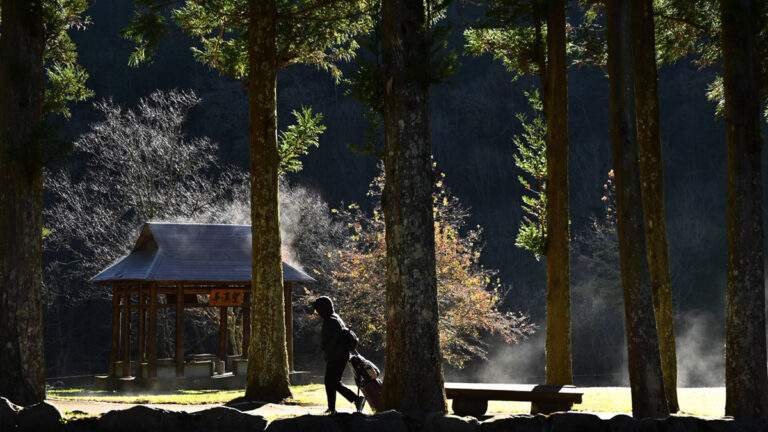 615344001 1302005015296319 6289637370358281651 n