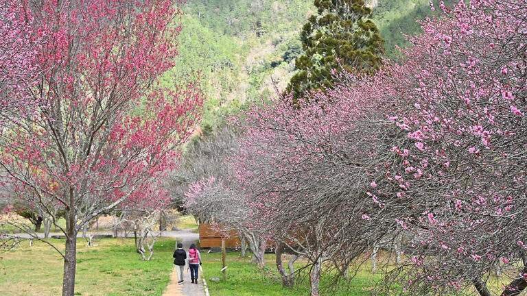 617631952 1311912314305589 3258948349533498094 n