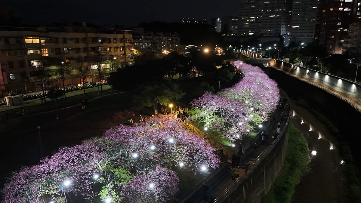 8e6a28e6 e7f0 4abc 97eb e063dec94b5a