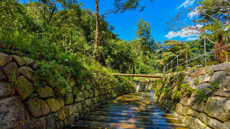 line oa chat 260102 222458