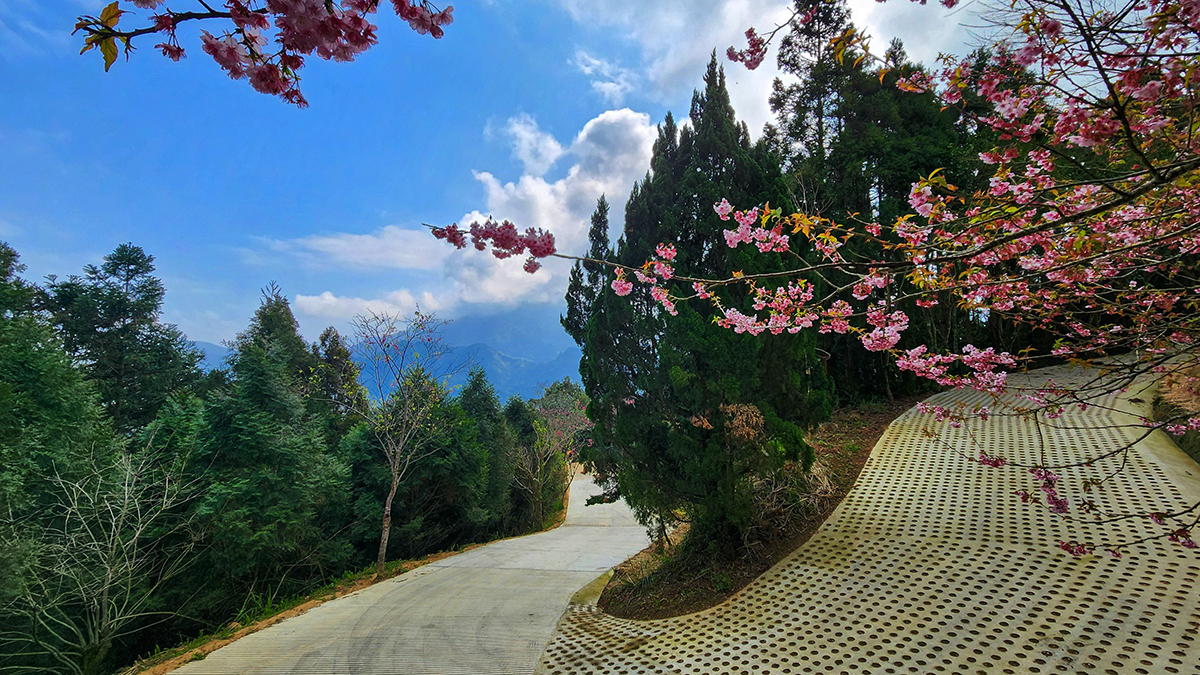 農村水保署金質獎大豐收 6項工程與個人貢獻獲肯定 4 line oa chat 260102 222508