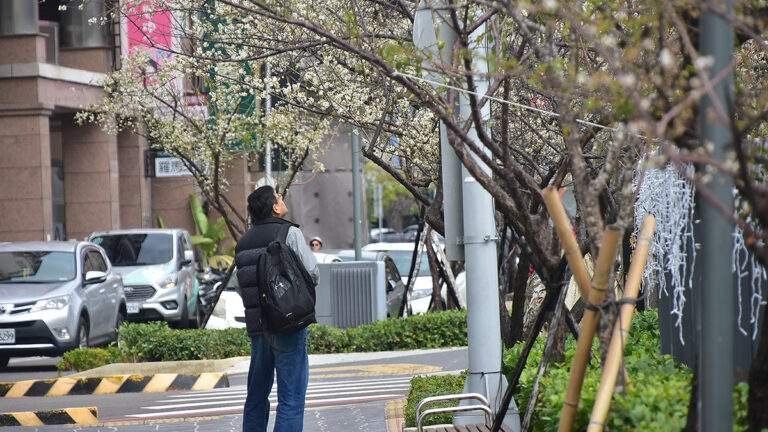 02taizhongshimeichuanyananmeihuajinriluxushengkaix