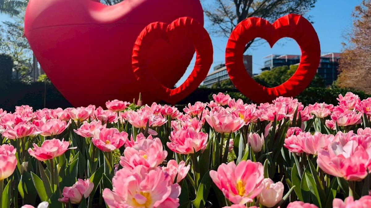 2c0fcd0c 8503 4112 871d a18c74c8f07a