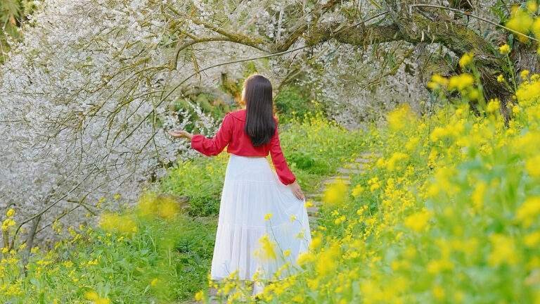 615797268 1285679616930447 8581926502543840348 n